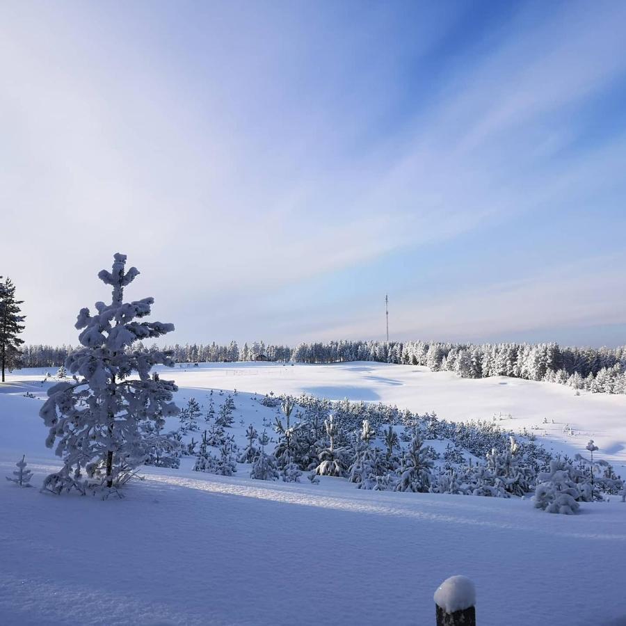 Villa Lotta Virttaa Eksteriør billede